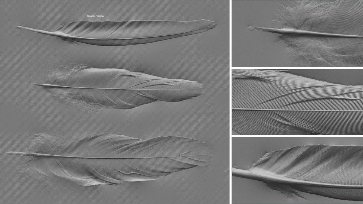 Feather #02 – Texturing.xyz