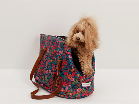 Teddy Maximus & Liberty London Collaboration 