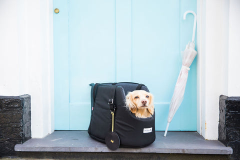 The Adventurer Waterproof Dog Carrier by Teddy Maximus