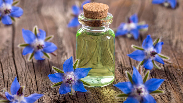 borage oil supplements for 