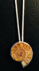 Ammonite pendant in sterling silver on sterling silver wheat chain