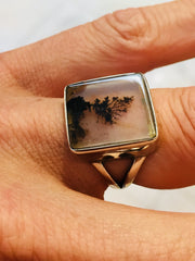 Dentritic agate in sterling silver ring