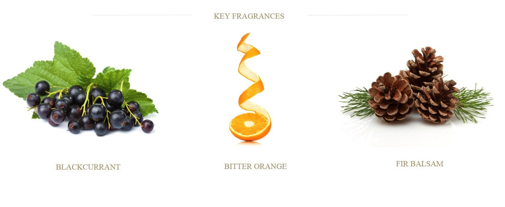 orange-bitter-blackcurrant-fir-ingredients