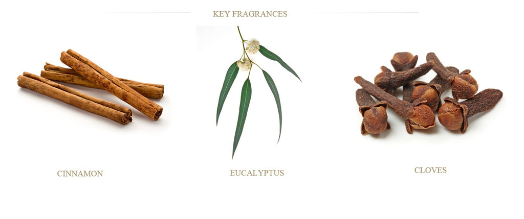 cedar-cloves-eucalyptus-cinnamon