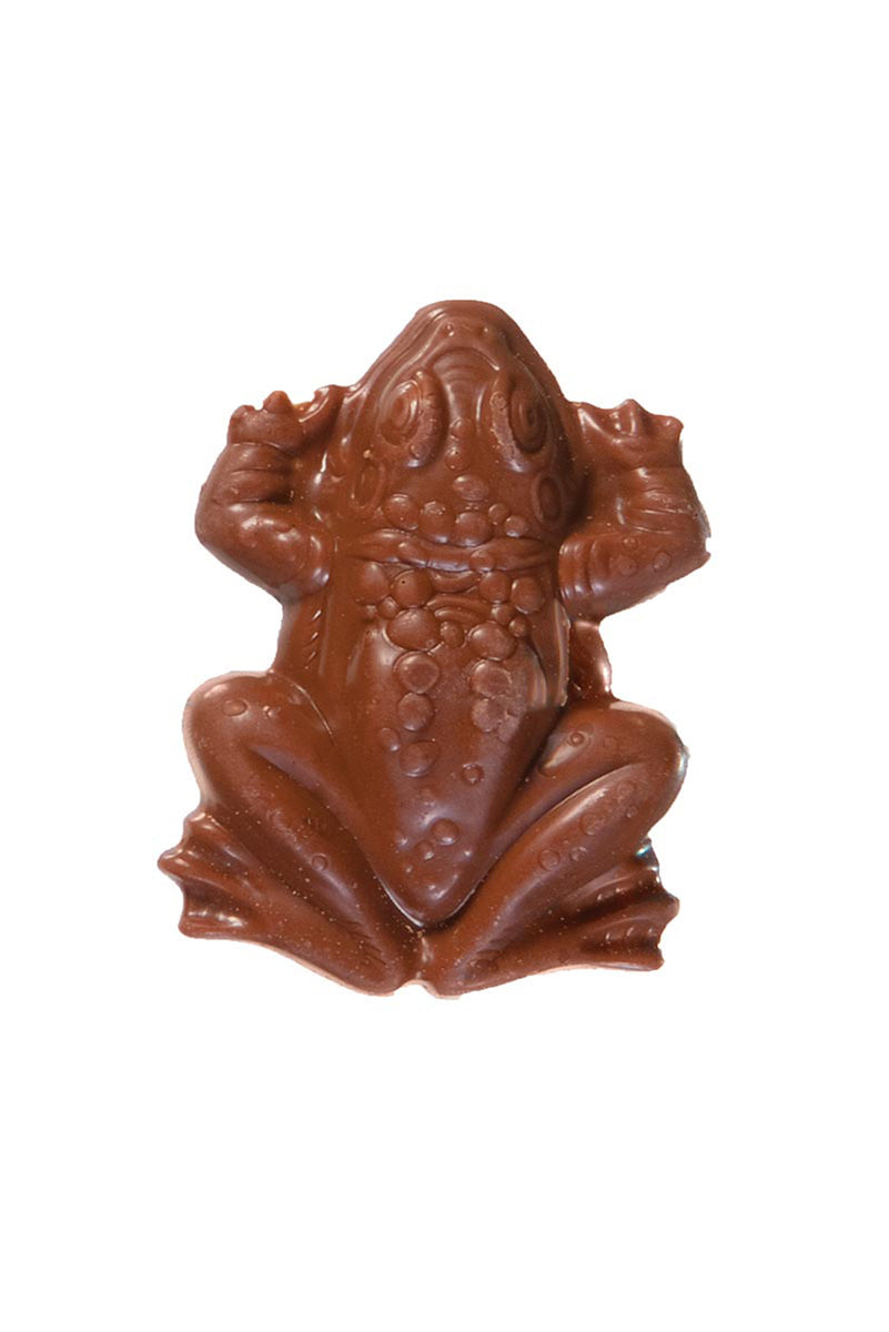 Harry Potter Chocolate Frog – Bruce&#039;s Candy Kitchen