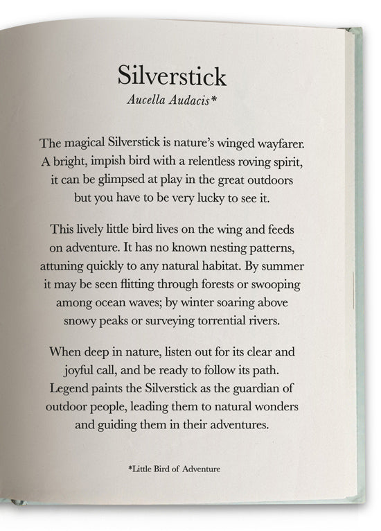 the silverstick copy