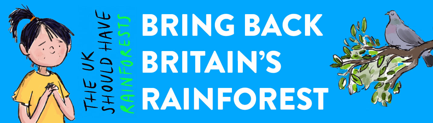 bring back britains rainforest
