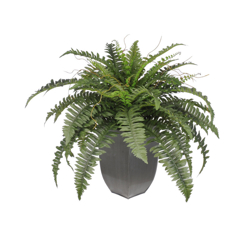 Artificial Fern in Zinc House of Silk Flowers®