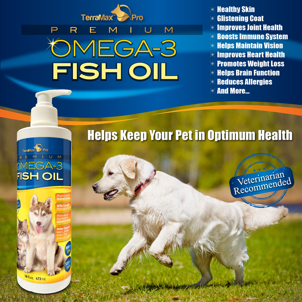 Best Liquid Omega 3 Fish Oil for Dogs and Cats, Pure and ...