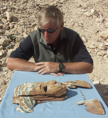 don ryan  egyptologist