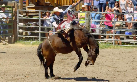 augusta rodeo, dude ranch, shapiro family