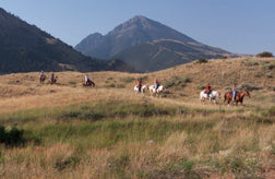 horses near chico hot springs montana