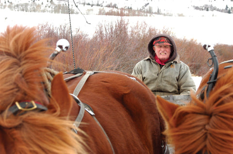 Don Yerian drives a team of horses at B Bar Ranch.