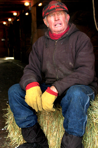 Don Yerian is an experienced drover of the Suffolk draft horses. David Reese photo