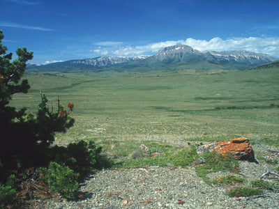 Ear Mountain on the rocky mountain front