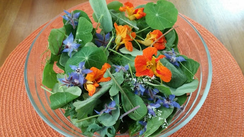 A sample of edible flowers grown in Livingston, Montana. Photo by Sarah Hussey