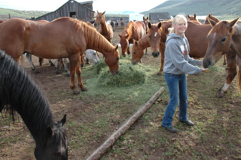young girl feeding horses in corral, cowboy on horse, montana high country cattle drive,montana living, montana high country cattle drive, flynn ranch in townsend montana