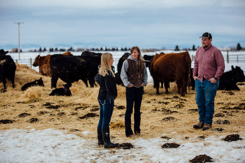 calving, montana living, montana farming, ag, MSU, Montana State University Department of Agriculture, adrian sanchez photo,