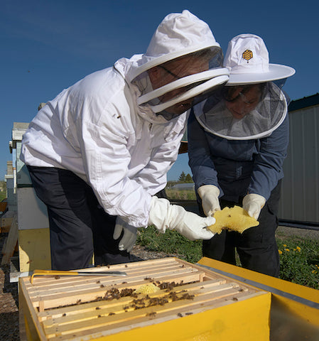 montana state university farm to campus program, msu bozeman, montana living, montana bee company, polson bee company