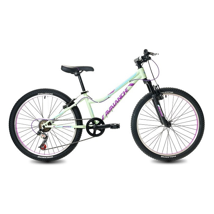 avalanche 24 inch bike price