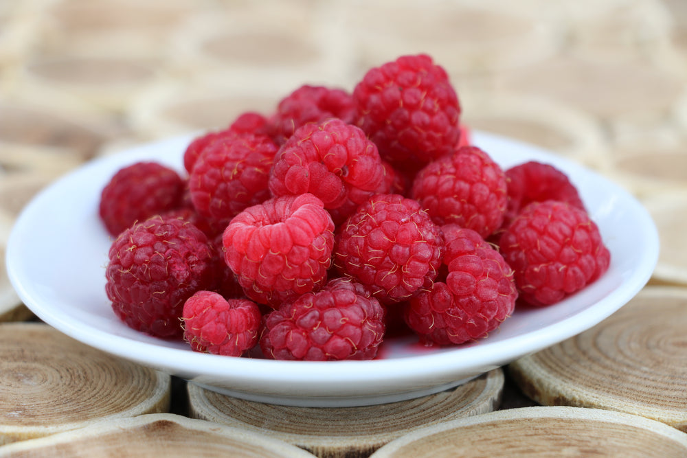 Raspberry ketones for appetite suppression