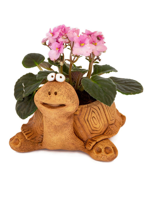 Turtle Ceramic Planter