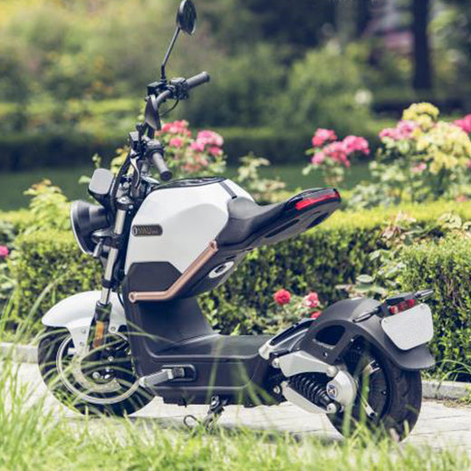 scooter electrique sunra miku max campagne