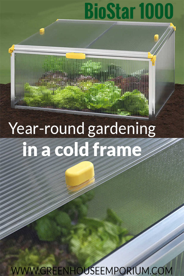 Closed Cold Frame at the top and insect net/double layer window at the bottom with text: BioStar 1000 - Year-round gardening in a cold frame