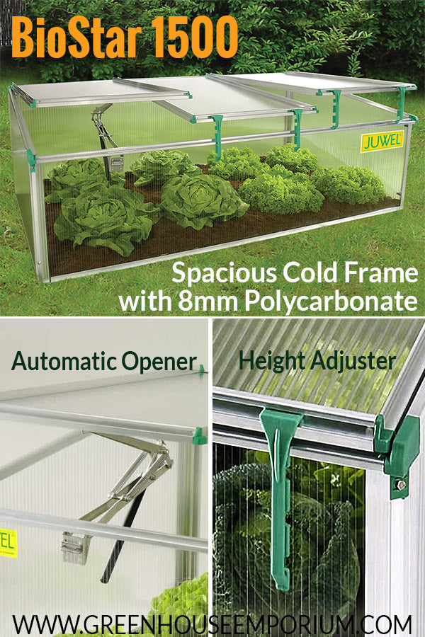 Open Cold Frame using the automatic opener and two height adjusters: BioStar 1500 - Spacious Cold Frame with 8mm Polycarbonate