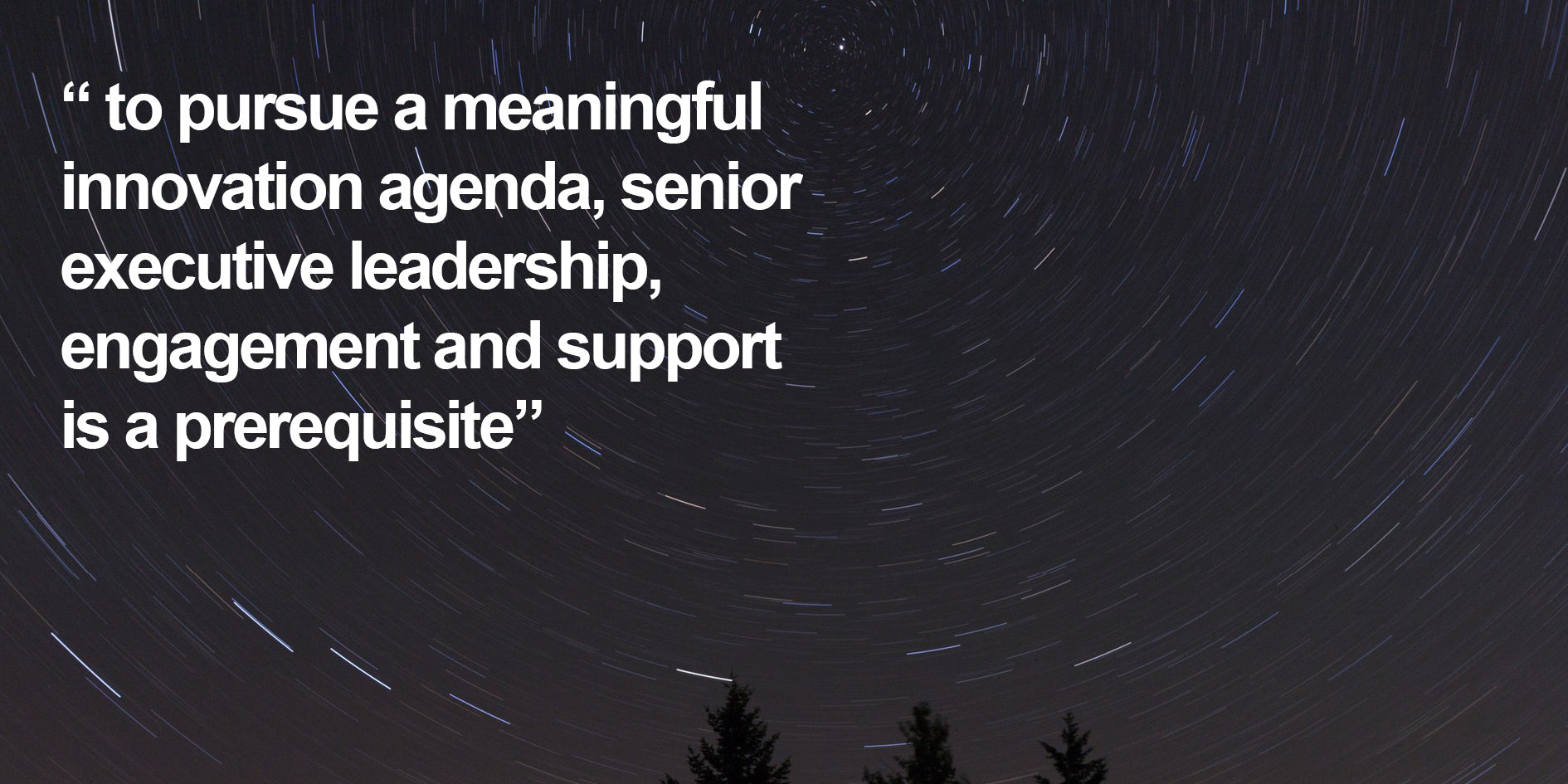 to pursue a meaningful innovation agenda, senior executive leadership, engagement and support is a prerequisite