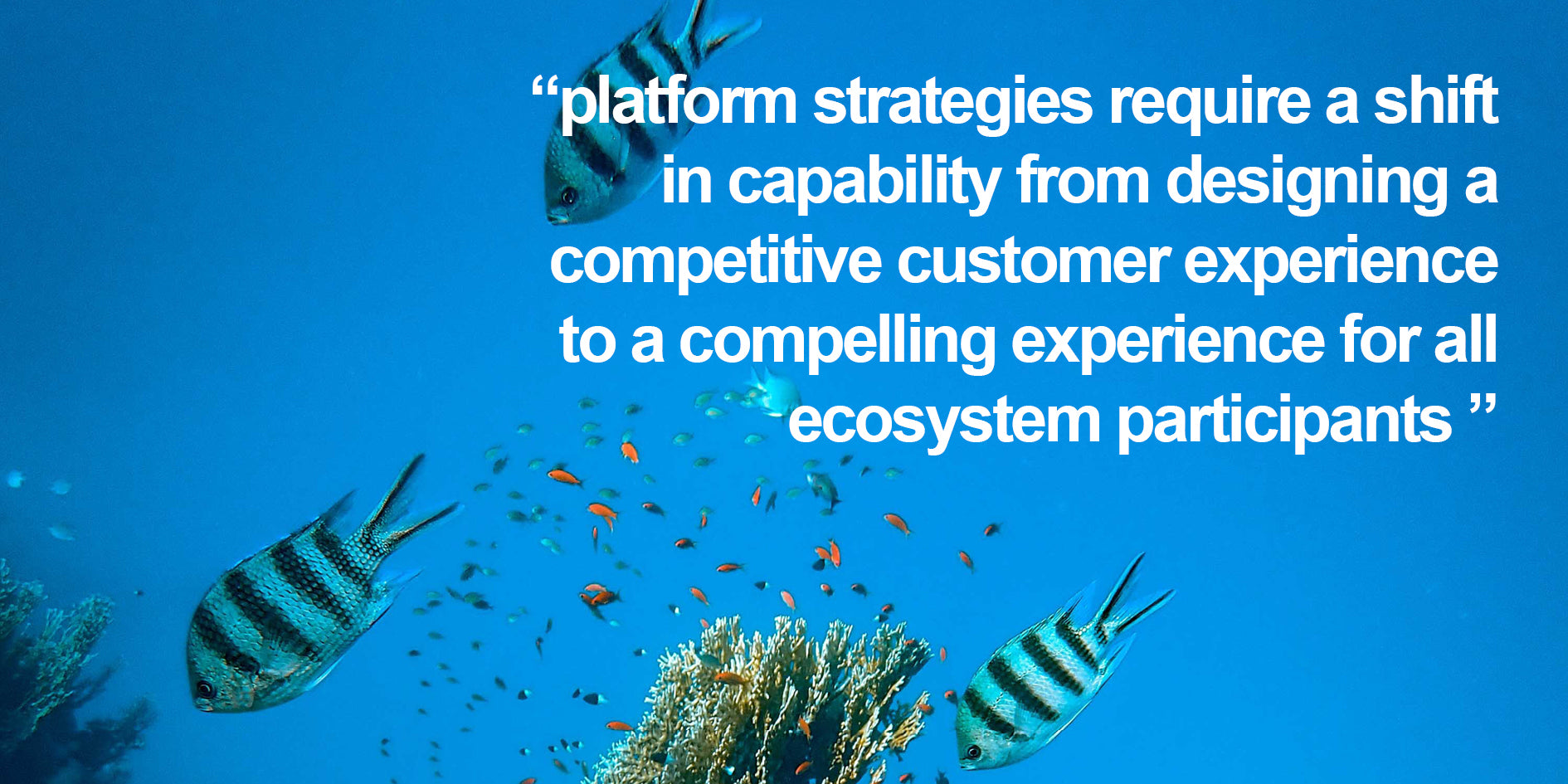 platfrom strategies demand capability at designing compelling experiences for all ecosystem participants