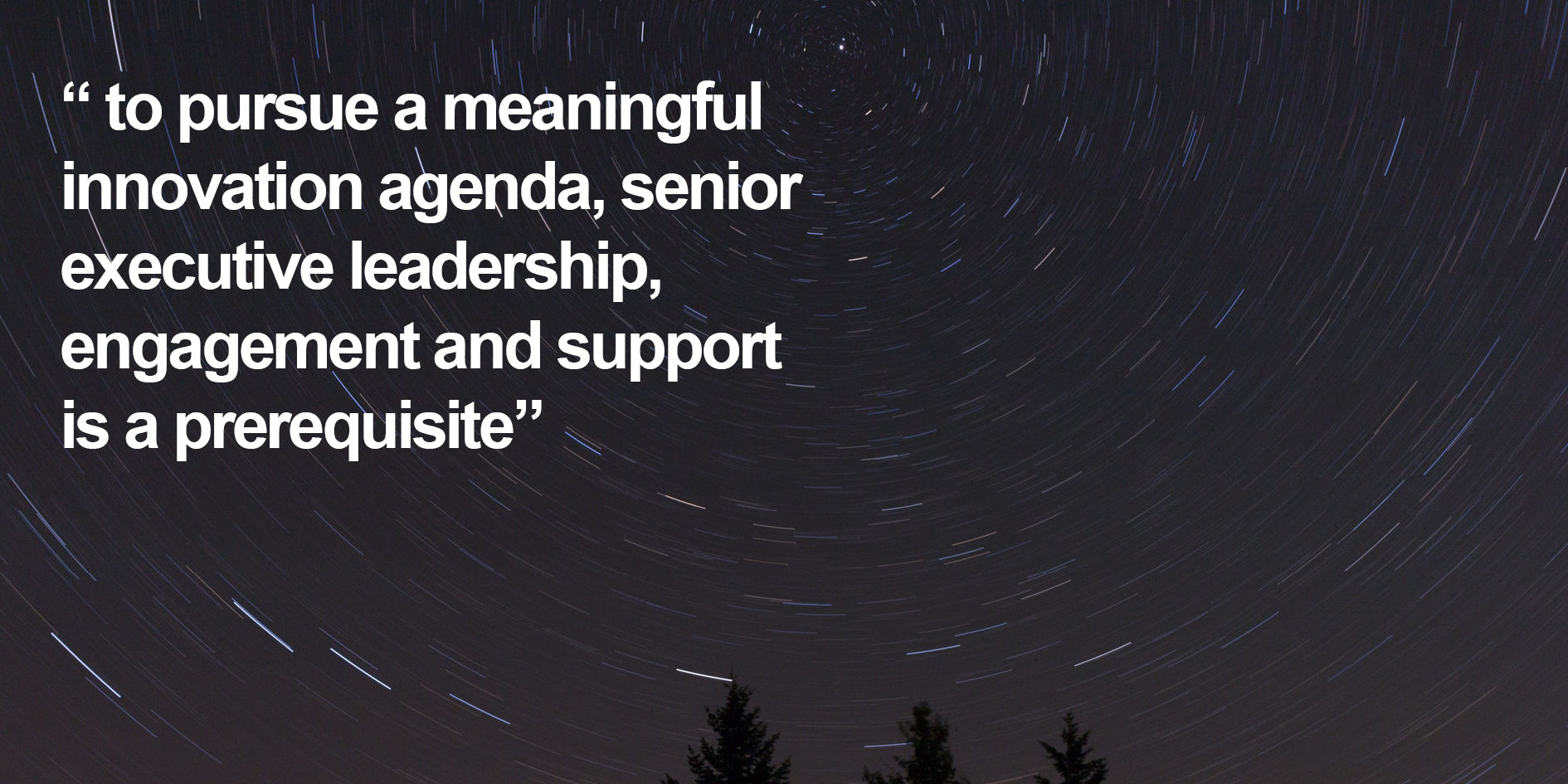 to pursue a meaningful innovation agenda, senior executive leadership, engagement and support is a prerequisite.