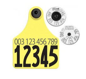 CCK sells official USDA 840 matched set ear tags 