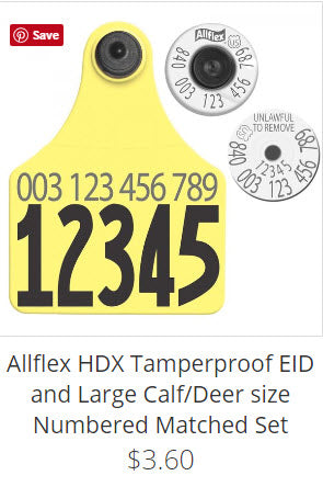 USDA 840 Dairy matched set with Large visual tag and HDX eid ear tag