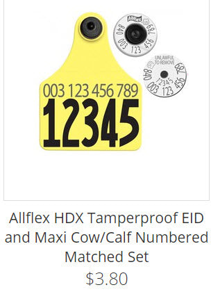 Dairy matched set with Maxi visual matched to HDX EID tag 