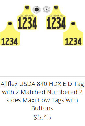 Dairy Double sets with Maxi numbered both sides visual tag and HDX Eid ear tag
