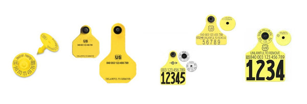 CCK sells all usda official 840 ear tags