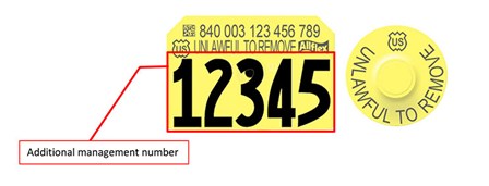 CCK sells official USDA 840 Swine ear tags