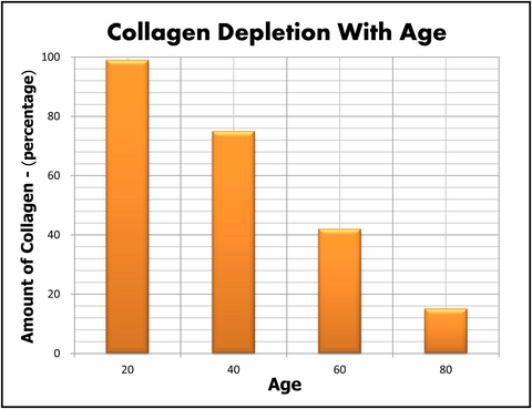 Collagen Production