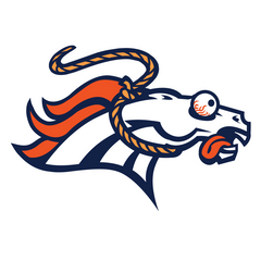 Broncos Funny Hilarious Football Logo