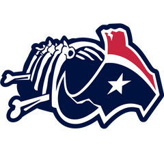 Texans Funny Hilarious Football Logo