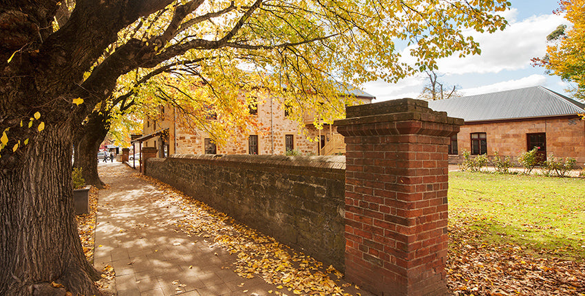 The Academy and information centre Hahndorf 