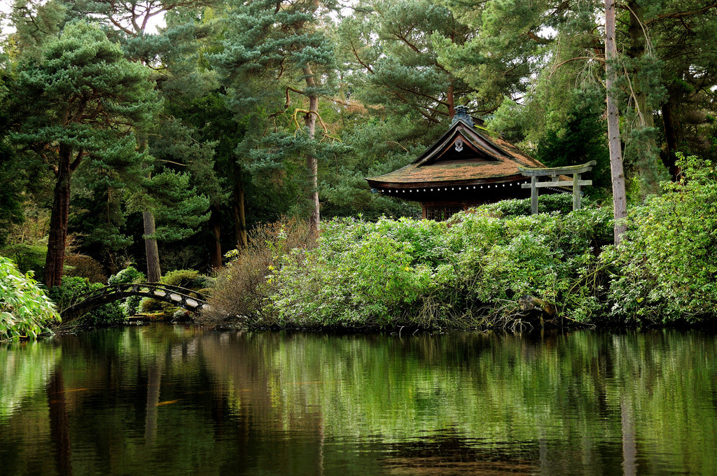 Zen garden by Janet Ramsden
