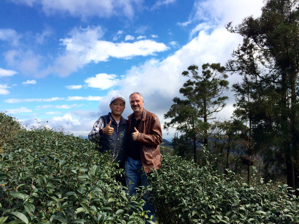 Oriental Beauty Oolong Award Winner Is Worth More Than Gold