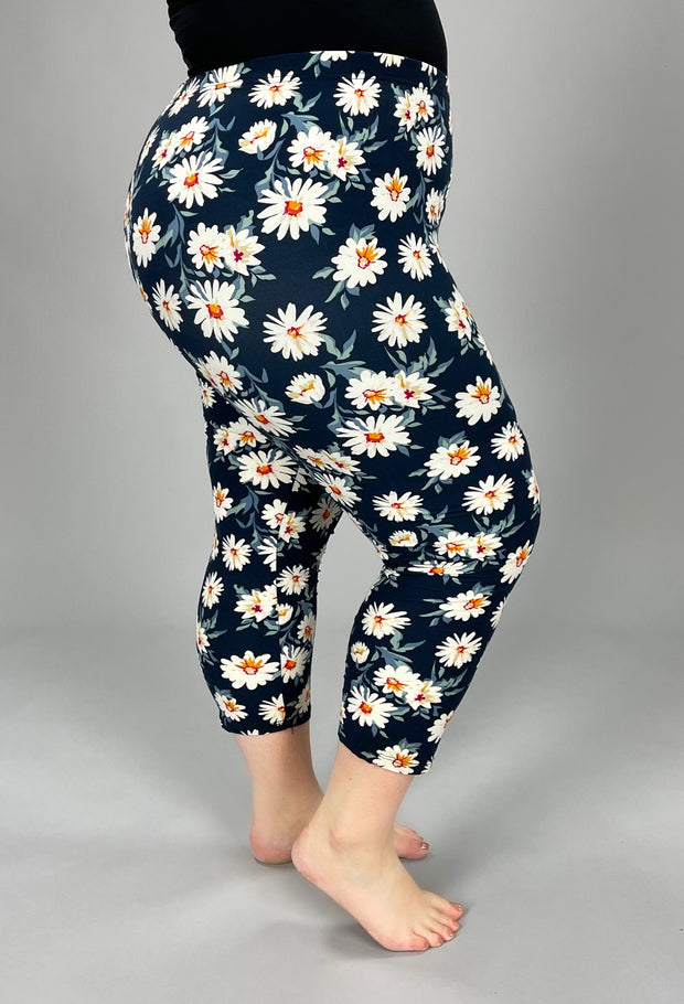 LEG-32 {Dizzy Daisy} White Floral Navy Butter Soft Capri Leggings EXTENDED PLUS SIZE 3X/5X