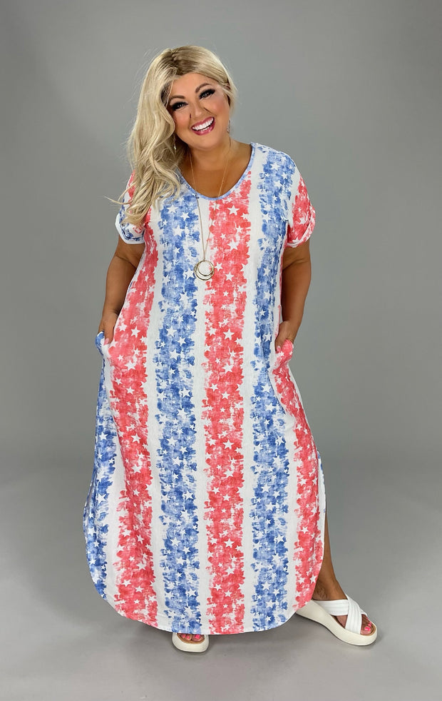 LD-K {The Flag Lives On} Red/White/Blue Flag Dress PLUS SIZE XL 2X 3X