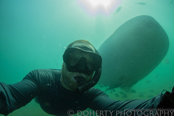 Whale Shark Selfie