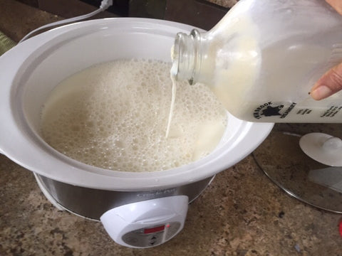 DIY Yogurt in a Slowcooker, Just add Milk