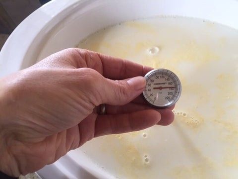 DIY Yogurt - Check every 30 Min Until a Thermometer reads 180 Degrees F