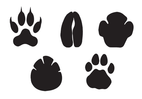 Animal Print Stencils (click to download)
